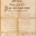 1880 Fűszerárú kereskedő mesterlevele ragasztott, javított. 46x30 cm