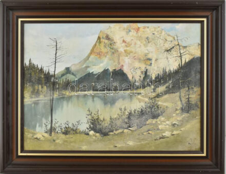 Neogrády Antal (1944-): Tengerszem. Olaj, falemez, jelezve jobbra lent (halványan), fakeretben, 43×59 cm