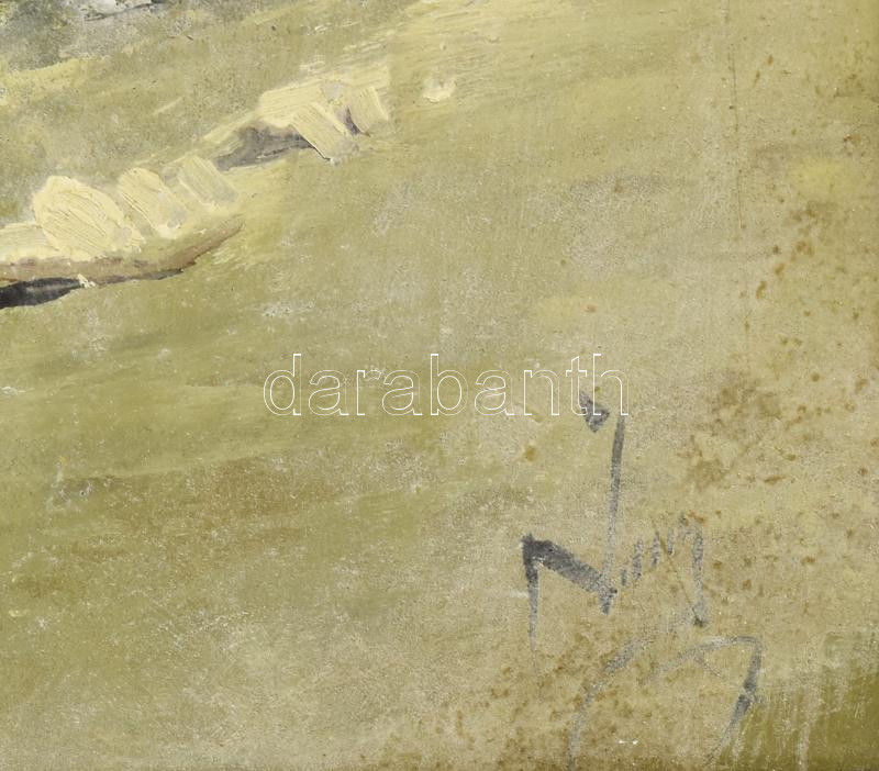 Neogrády Antal (1944-): Tengerszem. Olaj, falemez, jelezve jobbra lent (halványan), fakeretben, 43×59 cm - Image 3
