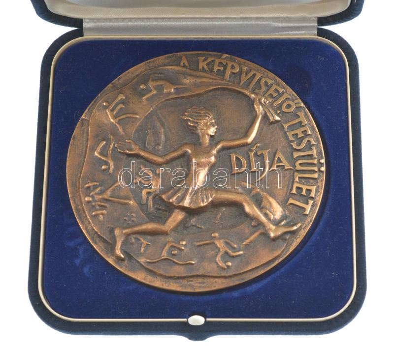 2011. 'Orosháza Város Sportjáért (gravírozva: Dr. Gyetvai György 2011) / A Képviselő Testület Díja' bronz érdemérem eredeti tokban (100mm) T:1- - Image 3