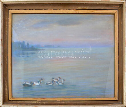 Tunyogi Szűcs Sándor (1890-1974): Balaton vadkacsákkal. Pasztell, papír, jelezve jobbra lent: Tunyogi Szűcs, üvegezett fakeretben. 42,5x52,3 cm