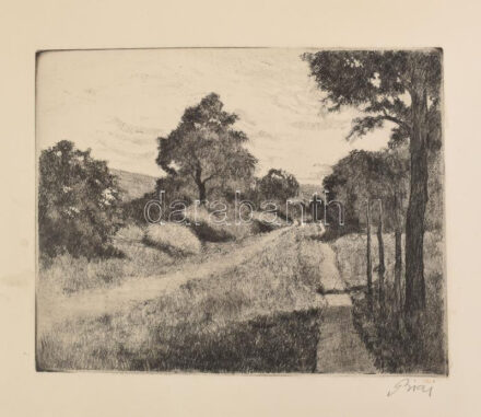 Biai-Föglein István (1905-1974): Táj. Rézkarc, papír, jelzett, foltos, lapszéli törésnyomokkal, 22,5×28,5 cm