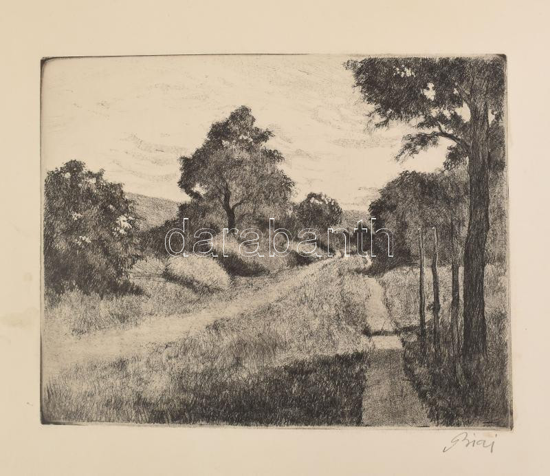 Biai-Föglein István (1905-1974): Táj. Rézkarc, papír, jelzett, foltos, lapszéli törésnyomokkal, 22,5×28,5 cm