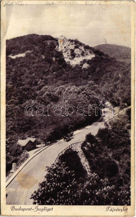 1932 Budapest XII. Zugliget, tájrészlet (fa)