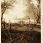 Fils du fer barbelés en bordure du Vardar / WWI military, barbed wire fence along the Vardar river. photo