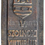 1971. 'V. Szolnoki Kulturális Hetek 1971' egyoldalas ezüstözött fém plakett, eredeti dísztokban (132x60mm) T:2 kissé ferde
