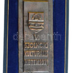 1971. 'V. Szolnoki Kulturális Hetek 1971' egyoldalas ezüstözött fém plakett, eredeti dísztokban (132x60mm) T:2 kissé ferde - Image 2
