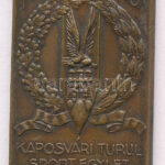 ~1920. '1920 Kaposvári Turul Sport Egylet' bronz emlékplakett (26x39mm) T:2