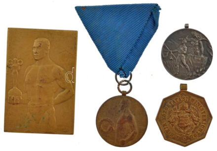 3xklf sportérem- és -plakett-tétel, közte ~1910. 'M. Kir. Állami Tornadíj / A M. Kir. Közoktatási Ministeriumtól' nyolcszögletű bronz díjérem füllel (33x33mm) + Maugsch Gyula (1882-1945) 1931. 'Pest-Pilis-Solt-Kiskun vármegye - 1931