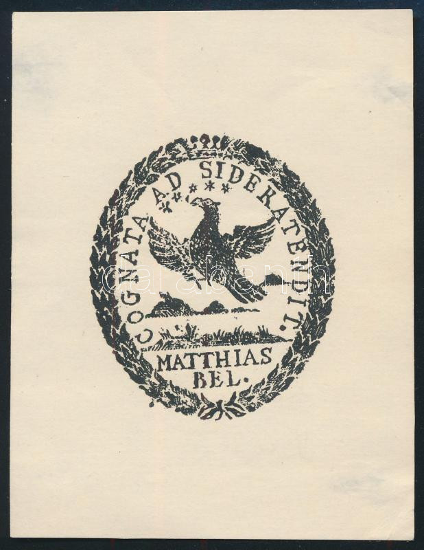Bél Mátyás (1684-1749) földrajzi író ex librise. Későbbi klisé 8,5x6 cm