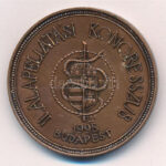 Lessenyei Márta (1930-) 1995. 'II. Alapellátási Kongresszus - Budapest' egyoldalas bronz emlékérem (42,5mm) T:1-