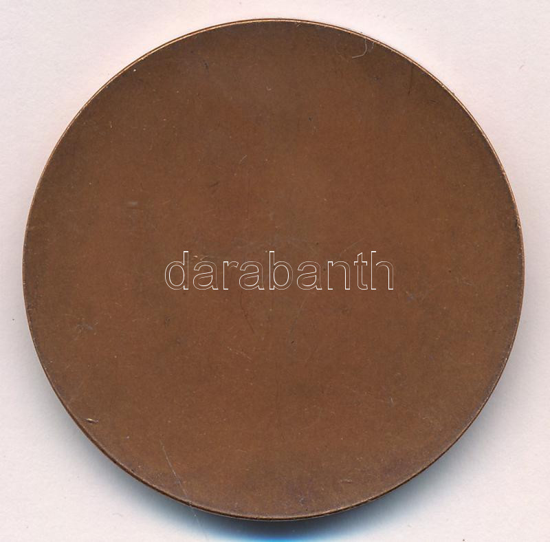 E. Lakatos Aranka (1952-) 1995. 'Prof. Manninger Jenő' egyoldalas bronz emlékérem (42,5mm) T:1- - Image 2