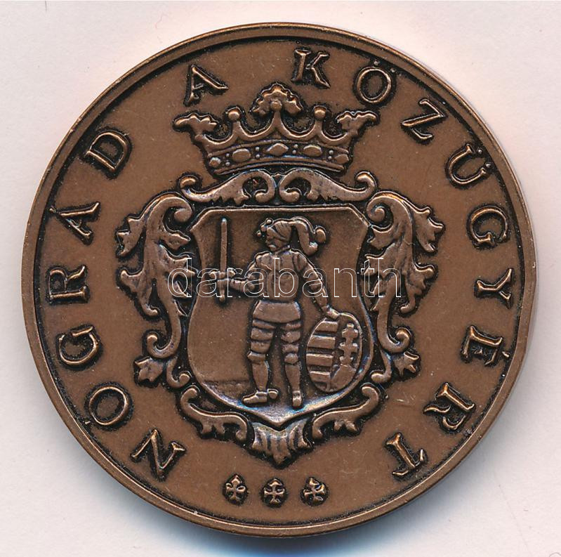 2001. 'Szent Lázár Megyei Kórház 2001 / Nógrád a Közügyért' kétoldalas, bronz emlékérem (42,5mm) T:1- - Image 2