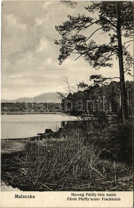 Malacka, Malaczka, Malacky; Herceg Pálffy féle haltó / Fürst Pálffy'scher Fischteich / fish lake of the castle