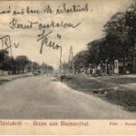 1909 Máslak, Masloc, Blumenthal; Fő út. Zeitler Lajos kiadása / Hauptstrasse / main street