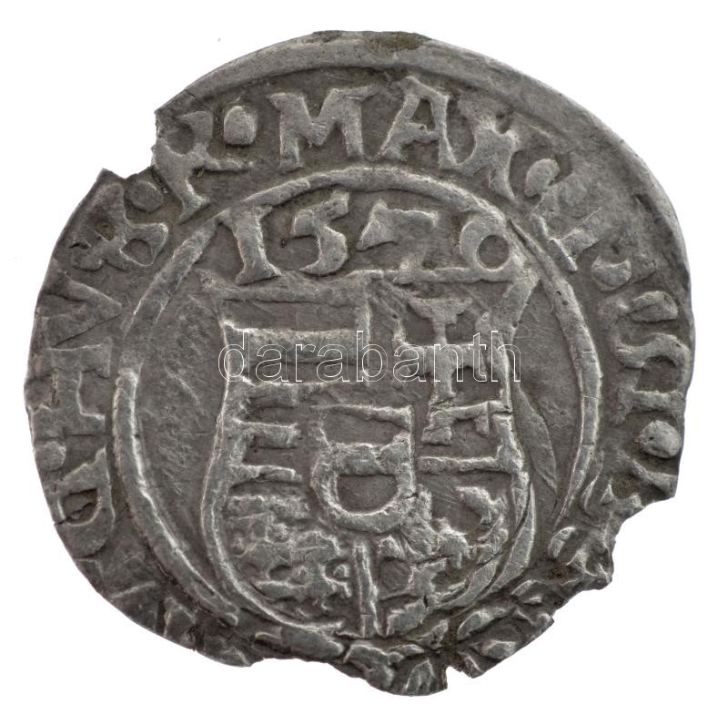 1570K-B Denár Ag 'Miksa' (0,43g) T:1-,2 kitörés Hungary 1570K-B Denar Ag 'Maximilian' (0,43g) C:AU,XF cracked Huszár: 992., Unger II.: 766.a - Image 2