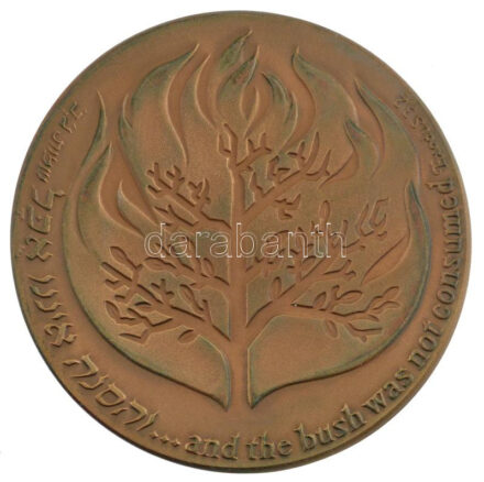 Izrael DN 'Kivonulás könyve' kétoldalas bronz emlékérem d: 52 mm C: AU műanyag tokban / Israel ND 'The people of Israel lives. Exodus' bronze plaque d: 52 mm in plastic case