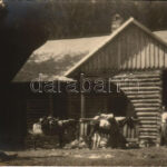 Aranyosfő, Scarisoara; menedékház / rest house. photo (ragasztónyom / gluemark)