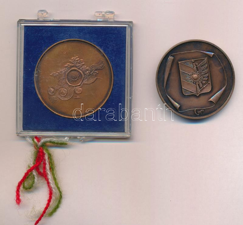 Fritz Mihály (1947-): Szeged város emlékérme kétoldalas, bronz emlékérem (43mm) T:1- + Sebestyén Sándor (1949-) DN 'VII. Fogathajtó Világbajnokság Szilvásvárad - Eger' Br emlékérem (42,5mm) T:1 plombált műanyag tokban - Image 2
