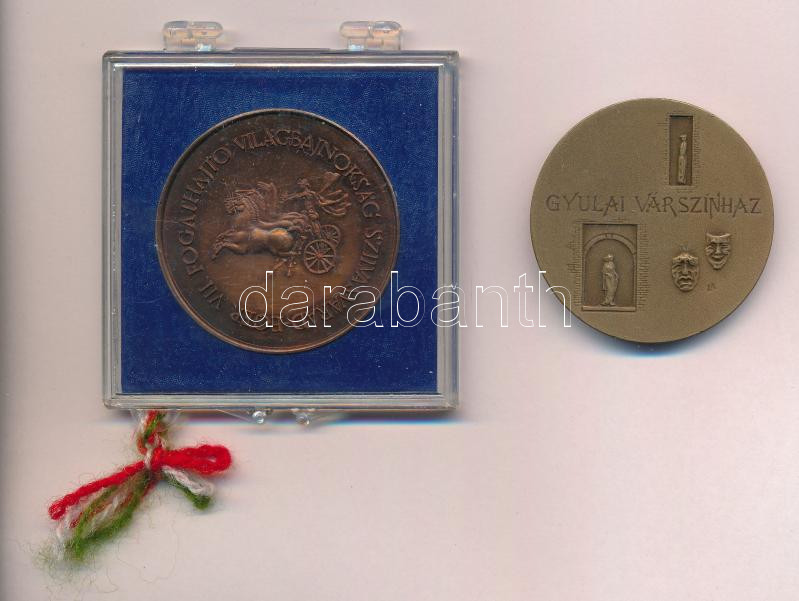 Lapis András (1942-) DN 'Gyulai Várszínház' Br emlékérem (42,5mm) T:1- + Sebestyén Sándor (1949-) DN 'VII. Fogathajtó Világbajnokság Szilvásvárad - Eger' Br emlékérem (42,5mm) T:1 plombált műanyag tokban