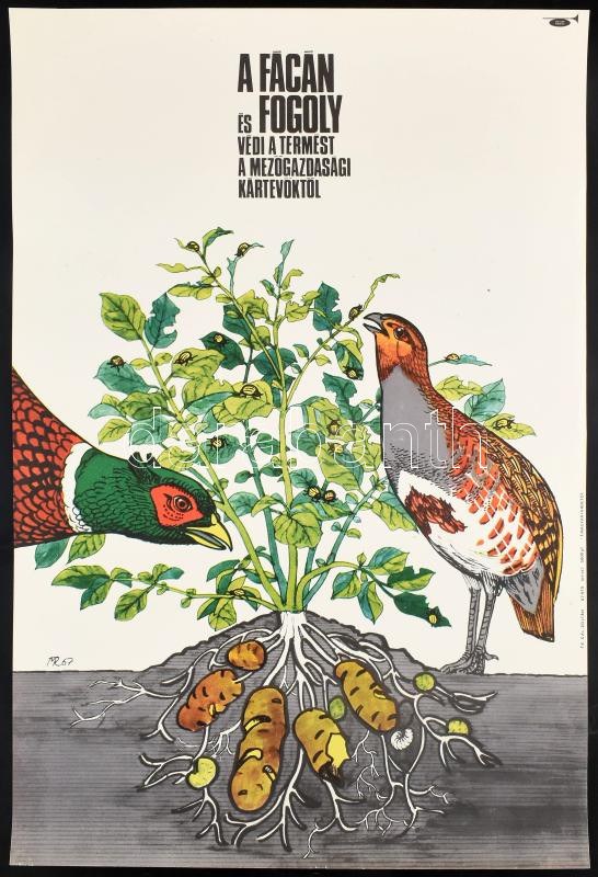 1967 Muray Róbert (1931-2009): A fácán és fogoly védi a termést a mezőgazdasági kártevőktől, plakát, Magyar Hirdető, Bp., Offset-ny., 56x39 cm