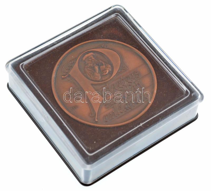Fritz Mihály (1947-) DN 'Pedagógus Szolgálati Emlékérem' bronz emlékérem (42,5mm) T:1- - Image 2
