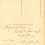 1933 Verőce, Nógrádverőce; Horváth féle vasúti vendéglő kertje, tekéző (kuglizó) társaság. photo - Image 2