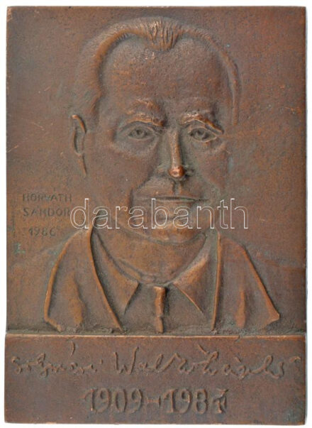 Horváth Sándor (1956-) 1986. 'Solymári Valkó László 1909-1984' egyoldalas bronz emlékplakett (108x77mm) T:1- kis patina