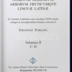 Iohannes Stirling: Lexikon nominum herbarum, arborum fruticumque linguae latinae. Volumen I-II. köt. Ex fontibus Latinitatis ante saeculum XVII scriptis collegit et descriptionibus botanicis illustravit. A mű 4 kötetben teljes. Bp., - Image 2