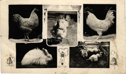 1949 Budapest, Országos Mezőgazdasági Kiállítás és Tenyészállatvásár + '1949 Országos Mezőgazdasági Kiállítás és Tenyészállatvásár Budapest - A dolgozó parasztság boldogulásának útja: a szövetkezés' So. Stpl. (fa)