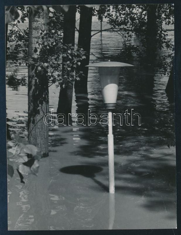 Magányosan (árvíz), amatőr művészfotó, hátoldalán jelzett, 12x9 cm