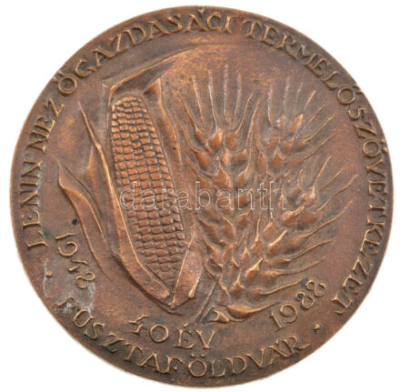 1988. 'Lenin Mezőgazdasági Termelőszövetkezet 40 év - Pusztaföldvár 1948-1988.' egyoldalas bronz emlékérem (92mm) T:1- kis patina