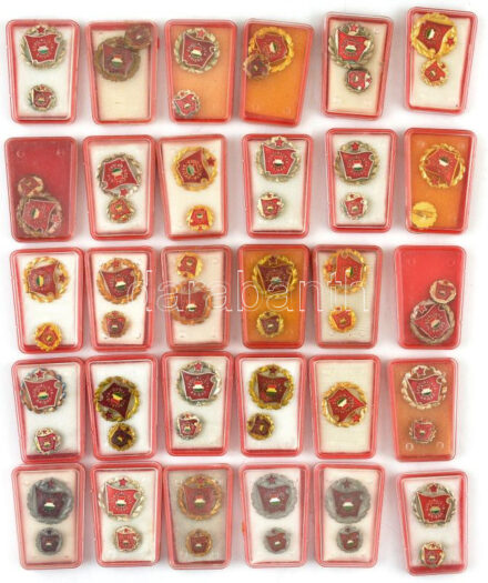 ~1970-1980. 'Szocialista Brigád' kitüntető jelvény miniatűrrel, eredeti tokban (30x) T:1-,2