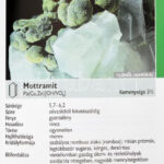 Rupert Hochleitner: Ásványok, drágakövek, kőzetek. Ford.: Sebők Viola. Bp., 2006, Sziget. Kiadói kartonált papírkötés. - Image 3