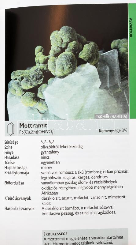 Rupert Hochleitner: Ásványok, drágakövek, kőzetek. Ford.: Sebők Viola. Bp., 2006, Sziget. Kiadói kartonált papírkötés. - Image 3