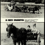 Kocsik, hintók, batárok, homokfutók különféle filmekben (cca 1989 előtt készültek), 13 db vintage produkciós filmfotó, ezüst zselatinos fotópapíron, a használatból eredő (esetleges) kisebb hibákkal, 18x24 cm - Image 2