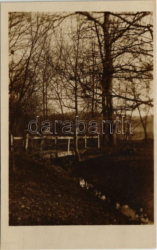 Zsély, Zelovce; Sósár gyógyfürdő, park részlet, fahíd / Sosárske Lázne / spa, park, wooden bridge