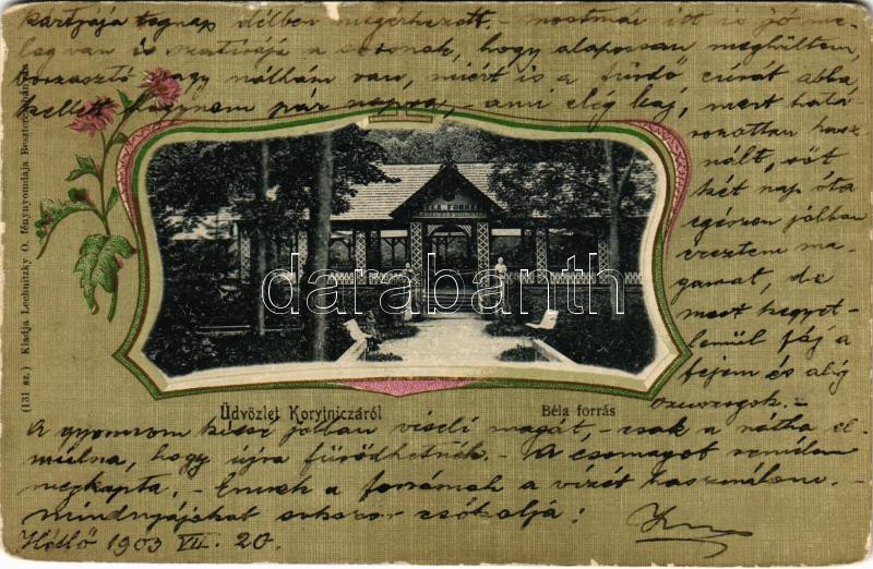 1903 Koritnyica, Korytnica; Béla-forrás. Lechnitzky O. fénynyomdája 131. sz. Szecessziós virágos litho keret / Albrechts-Brunnen / spa, spring source. Art Nouveau, floral, litho frame (Rb)