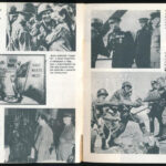 Nürnberg 1946. Összeáll.: Bokor László, Dózsa Ildikó, Kulcsár Péter, Róna Péter. Bp., 1982., MAFILM. Kiadói papírkötés, volt könyvtári példány. - Image 2