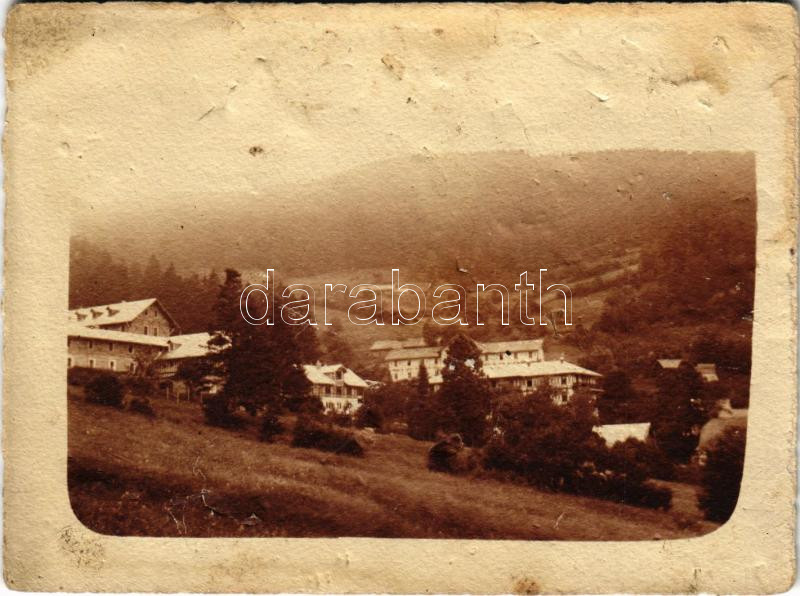 Feketehegy-fürdő, Feketehegy, Schwartzenberg, Cernohorské kúpele (Merény, Vondrisel, Nálepkovo); látkép / spa, general view. photo (non PC) (b)