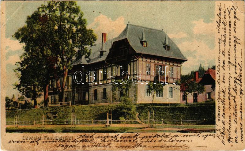 Fenyőháza, Lubochna; Gyógyfürdő vízgyógyintézet és nyaralótelep (Bérlő Jahn Nándor) / spa, villa, hotel (b)
