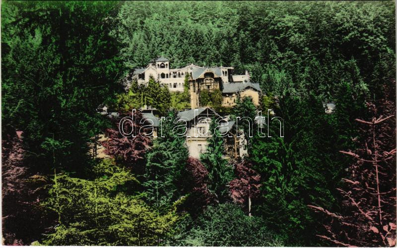 1927 Stószfürdő, Stoósz-fürdő, Kúpele Stós; nyaralók / villas, spa (EK)