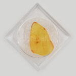 Borostyánkő zárvány rovarral, műanyag dobozban, angol nyelvű leírással, fotóval, h: kb 1 cm - Image 2