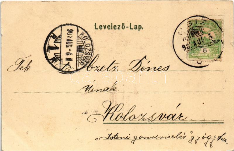 1902 Csíz, Csízfürdő, Kúpele Cíz; Hermin lak, nyaraló. Fogel Mór kiadása / villa, spa (kis szakadás / small tear) - Image 2
