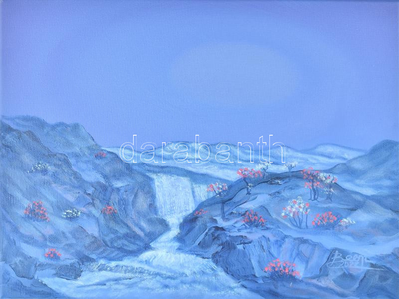 David Beeri (1951-): Képzelet. Olaj, vászon. Jelezve jobbra lent, a hátoldalán autográf felirattal. 30x40 cm