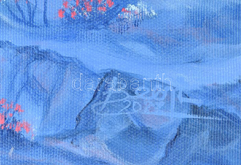 David Beeri (1951-): Képzelet. Olaj, vászon. Jelezve jobbra lent, a hátoldalán autográf felirattal. 30x40 cm - Image 2