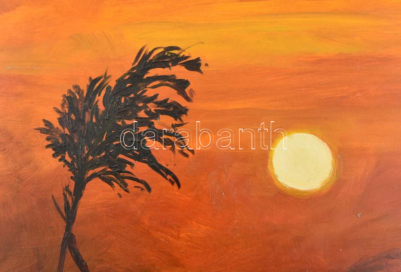 Bak Péter (1950-): Naplemente a Balatonon. Olaj, farost, jelzett, hátoldalán autográf felirattal, Képcsarnok Vállalat címkéjével, fakeretben, 50x50 cm - Image 2