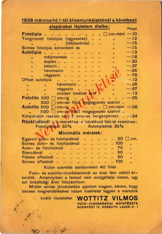 Wottitz Vilmos Photo-Cinkografiai Műintézete. Budapest, Kossuth Lajos utca 1. Hátoldalon árlista, reklám (EB) - Image 2