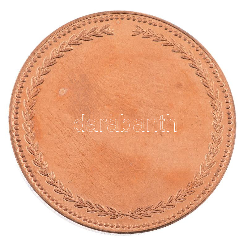 DN 'Szent-Györgyi Albert - A holnap olyan lesz, amilyen a ma iskolája' bronz emlékérem. Szign.:B.L. (42,5mm) T:1,1- - Image 2