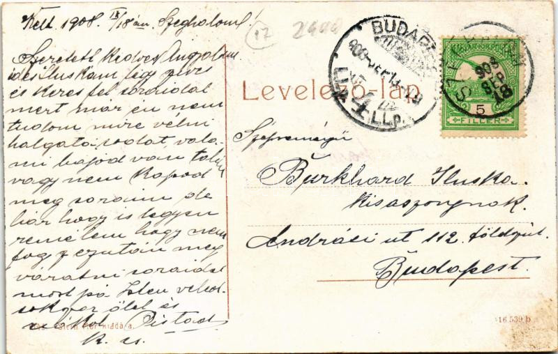 1908 Szeghalom, Kárász kastély. Stern Mór kiadása 1542. (W.L. ?) (EK) - Image 2